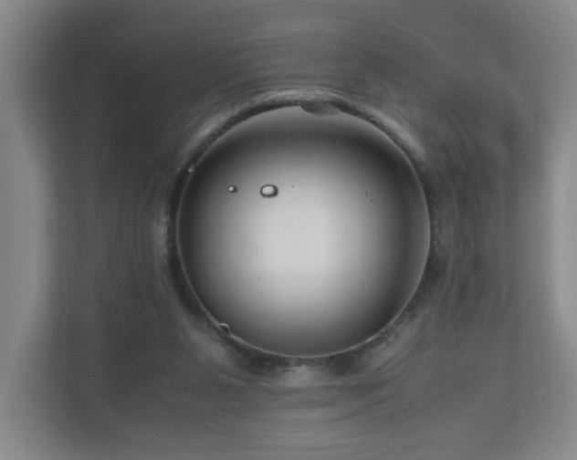 X0000111120111200906301318