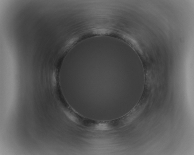 X0000111120114200906301318