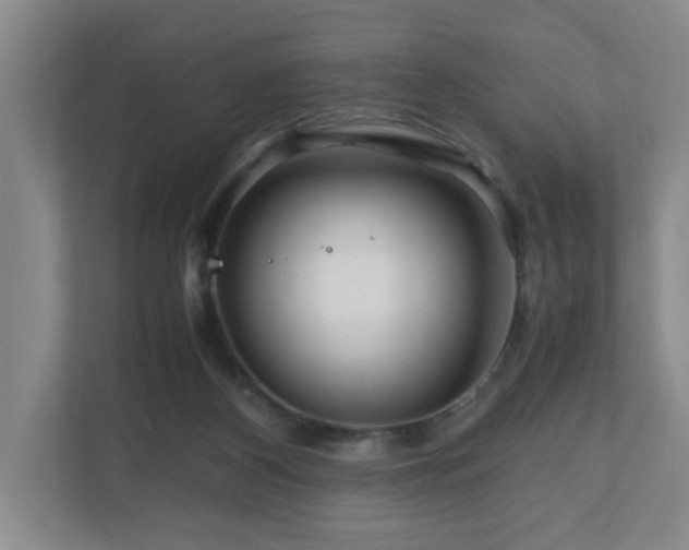 X0000111120116200906301318