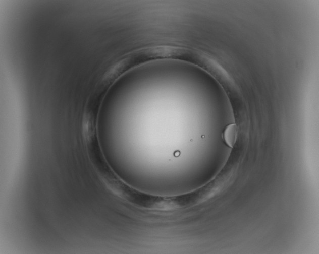 X0000111120119200906301318