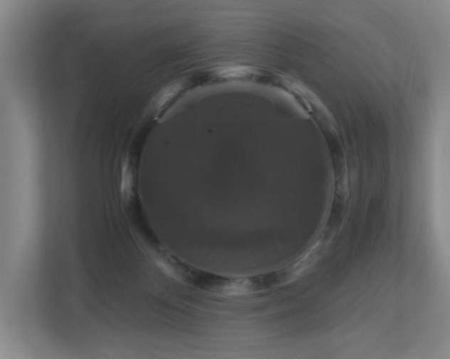 X0000111120124200906301318