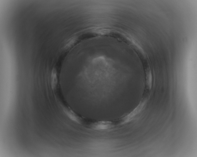 X0000111120128200906301318