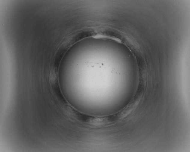 X0000111120129200906301318