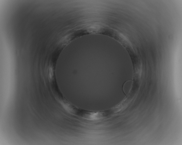 X0000111120130200906301318