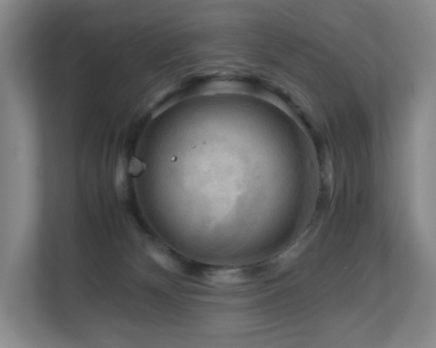 X0000111120132200906301318