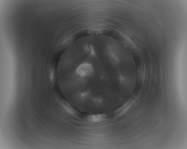 X0000111120134200906301318