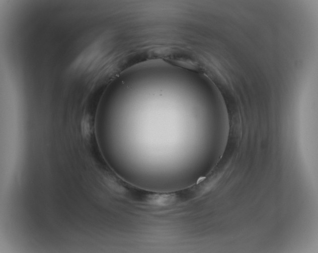 X0000111120135200906301318