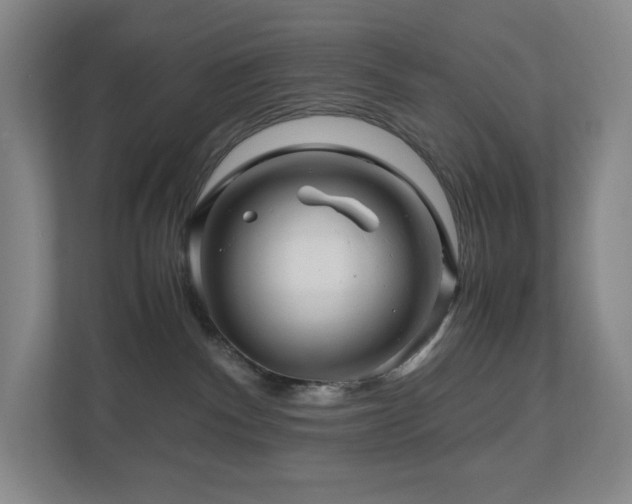 X0000111120140200906301318