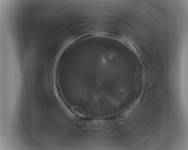 X0000111120145200906301317