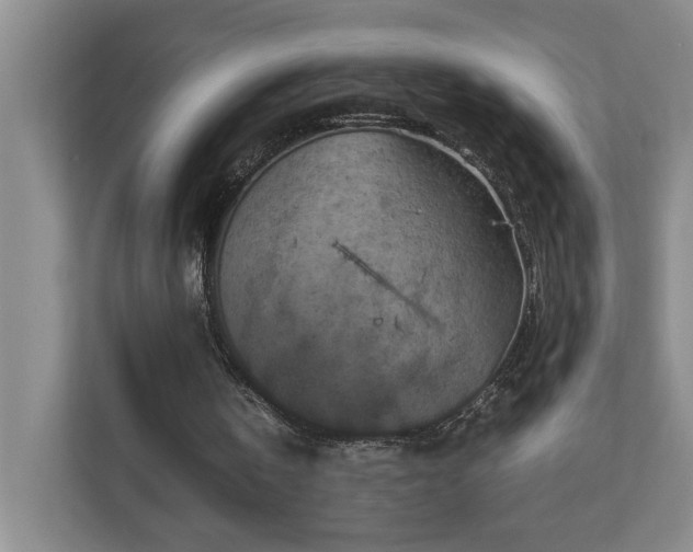 X0000111120146200906301317