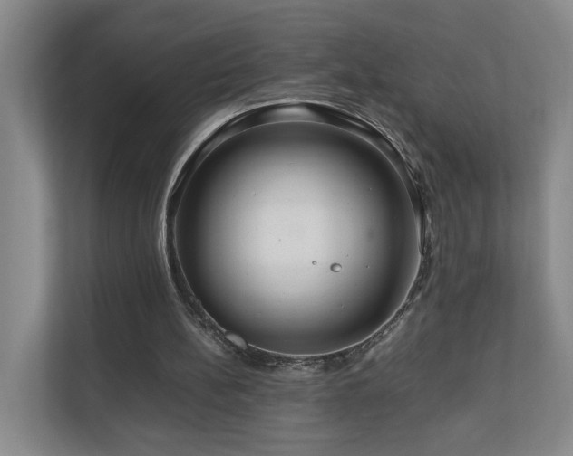 X0000111120148200906301317