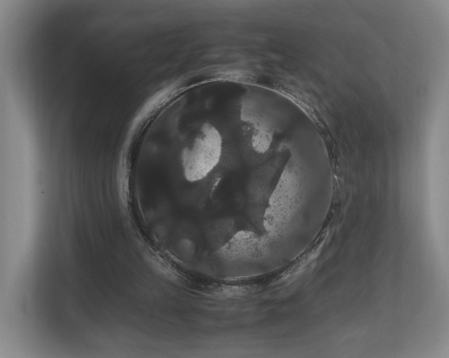 X0000111120149200906301317