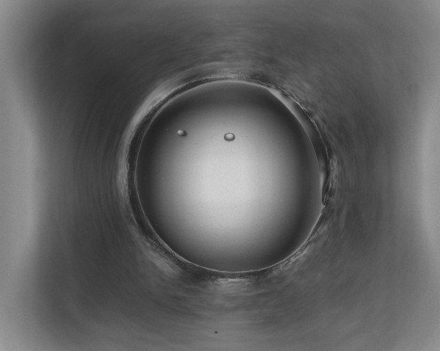 X0000111120150200906301317