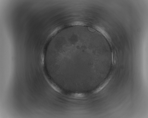 X0000111120157200906301318