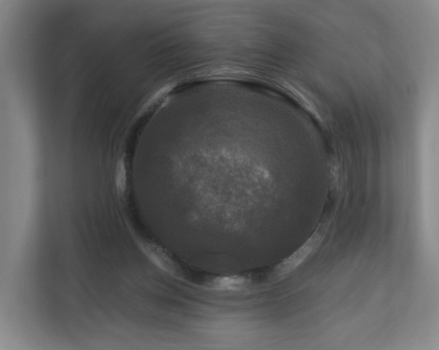 X0000111120158200906301318