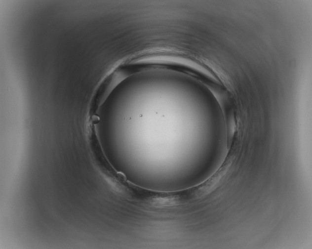 X0000111120160200906301318