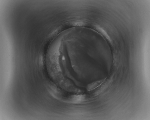 X0000111120161200906301318