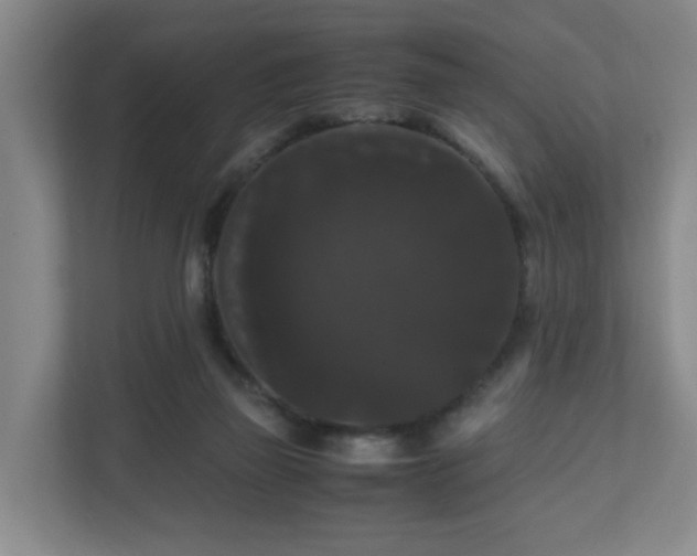 X0000111120165200906301318