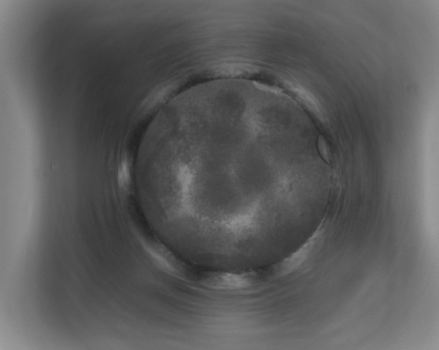 X0000111120166200906301318