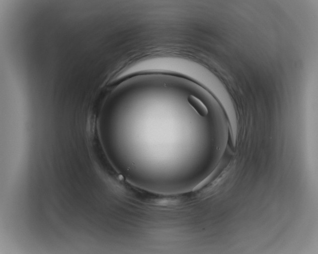 X0000111120168200906301318