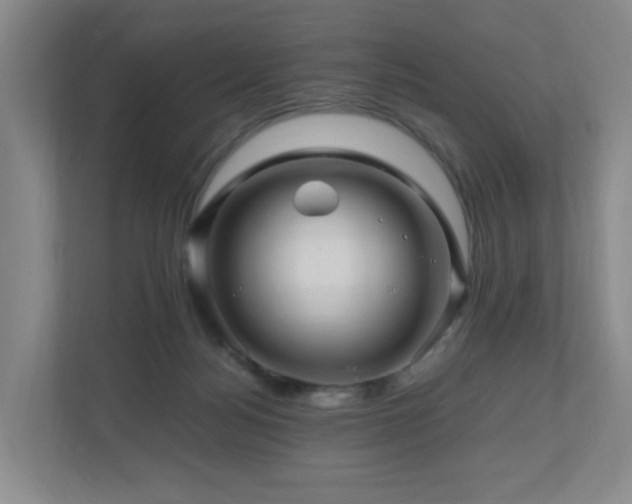 X0000111120172200906301318