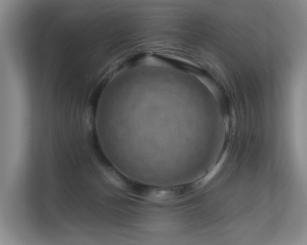 X0000111120174200906301318