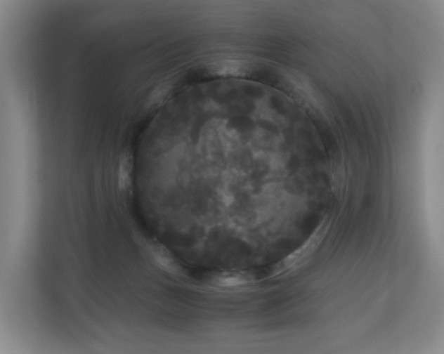 X0000111120175200906301318