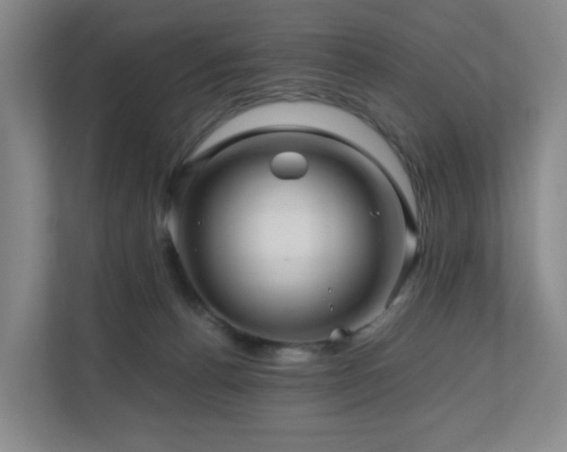 X0000111120176200906301318