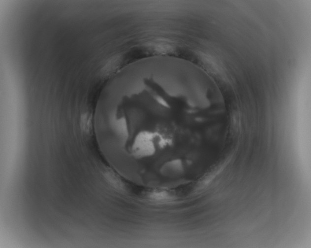 X0000111120177200906301318