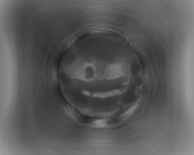 X0000111120178200906301318