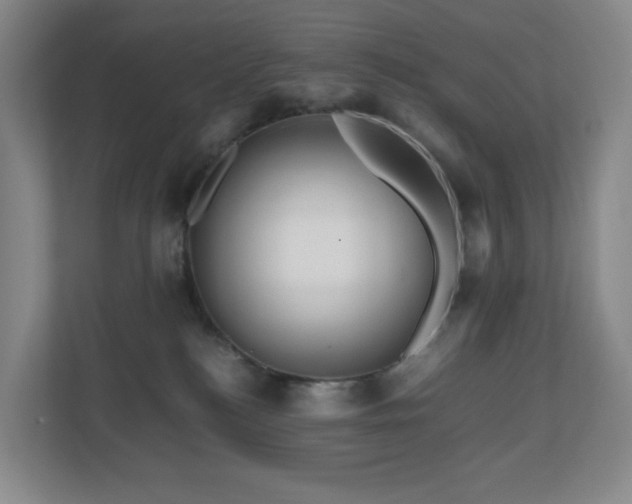 X0000111120184200906301318