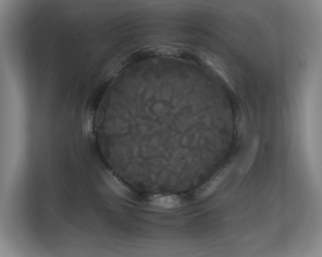 X0000111120185200906301318