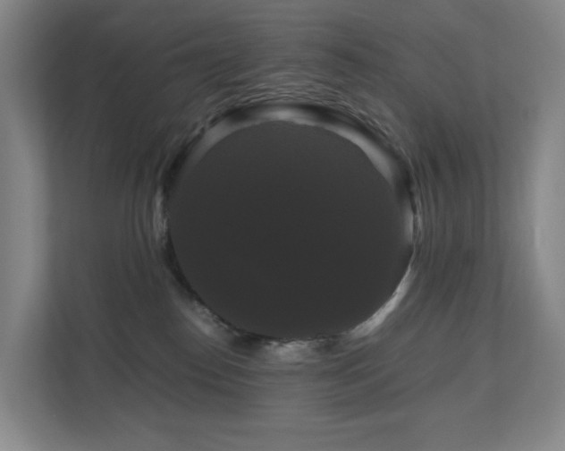 X0000111120186200906301318