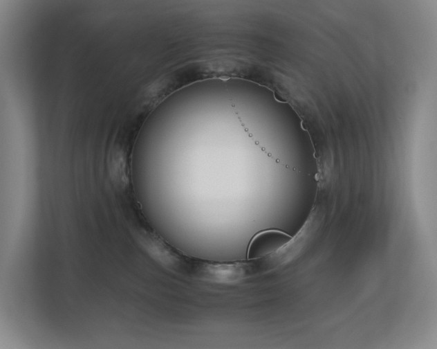 X0000111120187200906301318