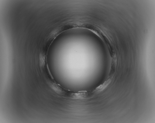 X0000111120188200906301318