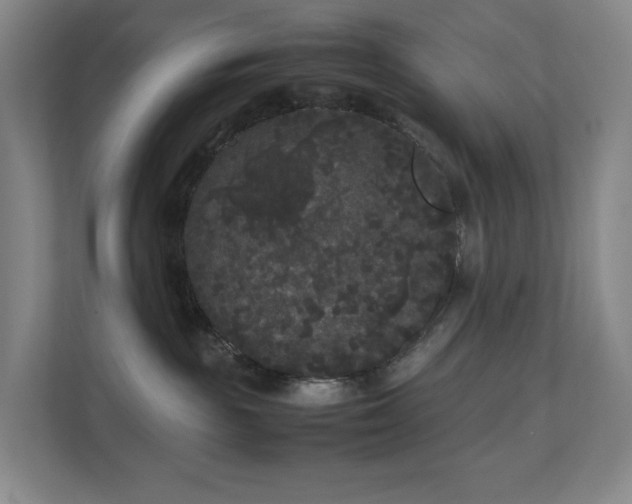 X0000111120189200906301318