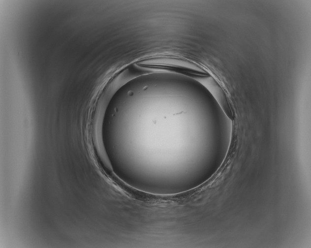 X0000111120193200906301317