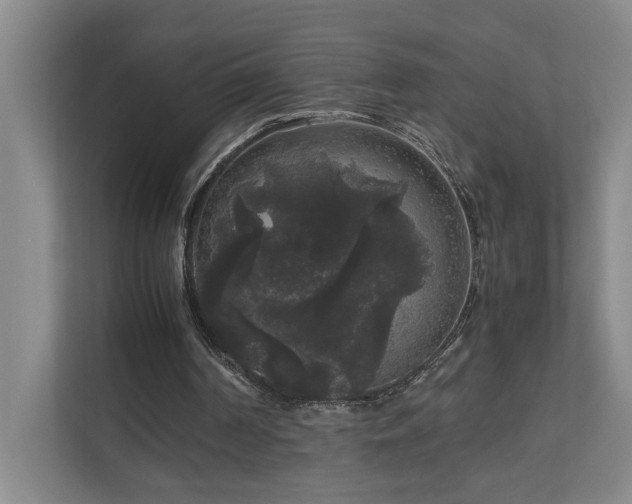 X0000111120194200906301317