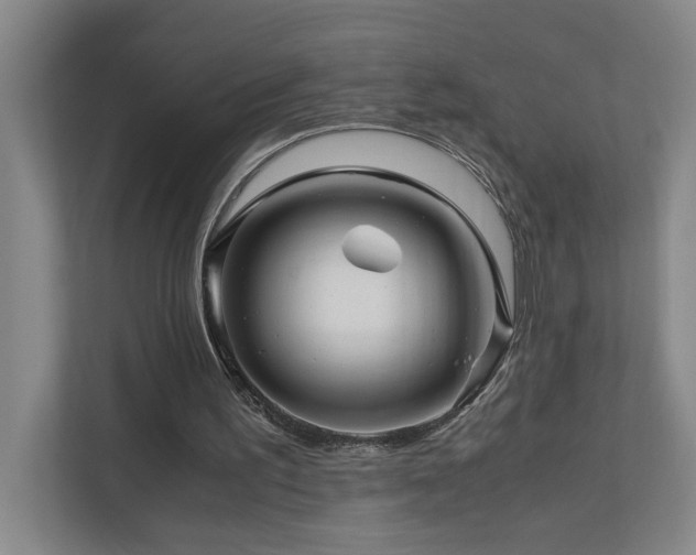 X0000111120195200906301317