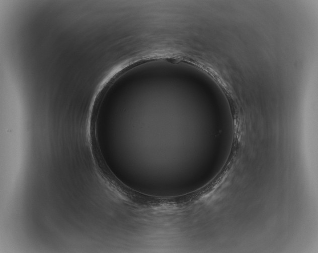 X0000111120196200906301317