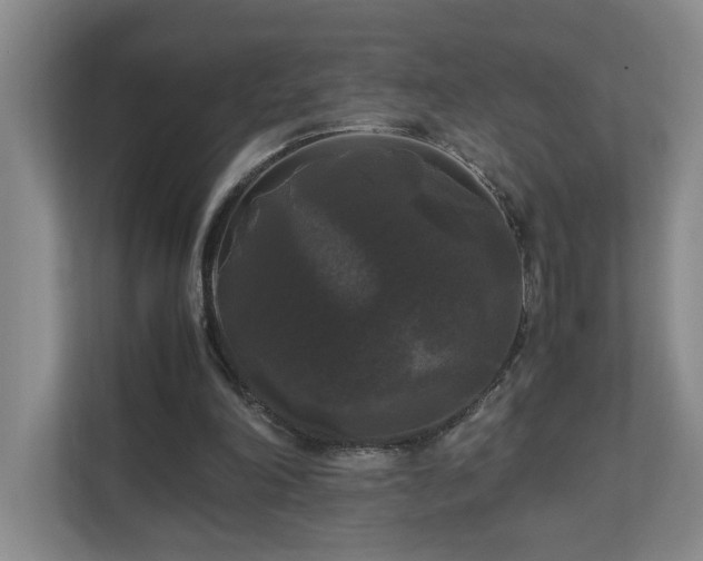 X0000111120198200906301317