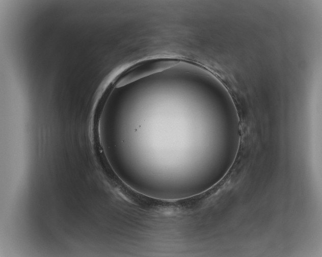 X0000111120200200906301317