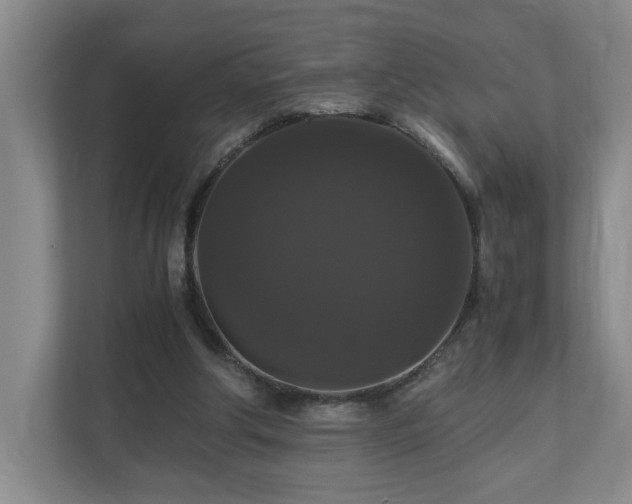 X0000111120202200906301317