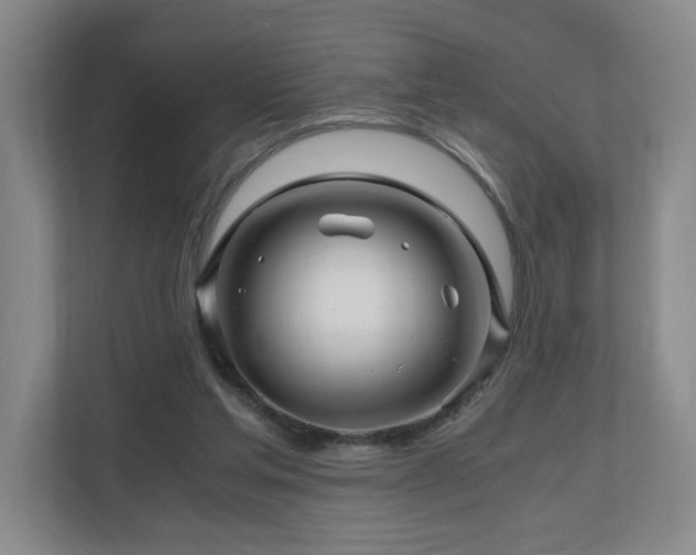 X0000111120205200906301317