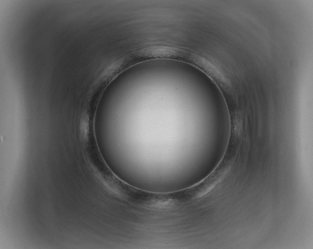 X0000111120206200906301317