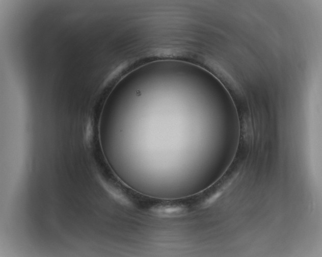 X0000111120208200906301317