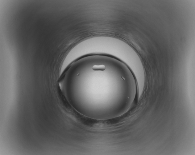 X0000111120211200906301317