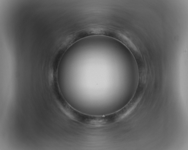 X0000111120213200906301317