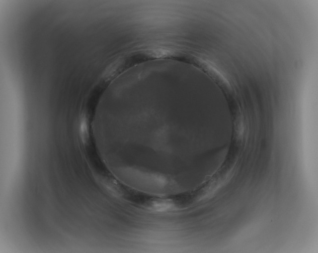 X0000111120214200906301317