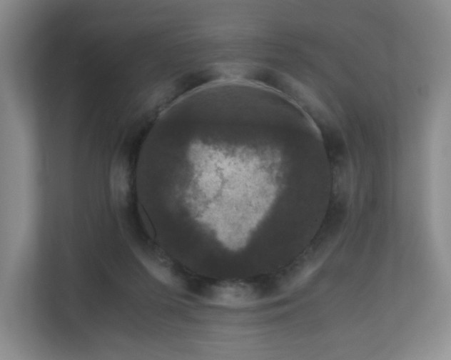 X0000111120215200906301317